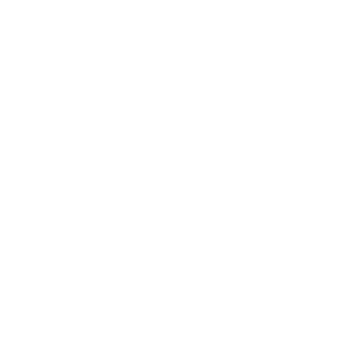 pm icon